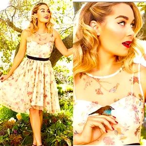 🍎NWOT DISNEY SNOW WHITE LAUREN CONRAD BIRD OWL SWEETHEART DRESS FIT FLARE